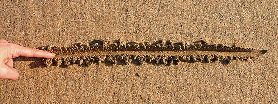 A line in the sand...
