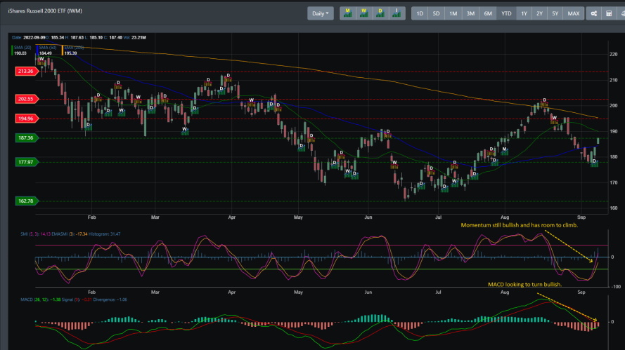 IWM